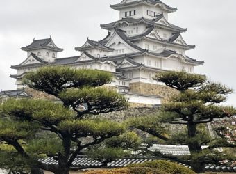 IMG_0412[1]1